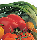 Vegetable based photo