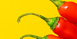 Flavourings