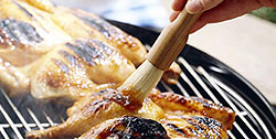 Marinades and Dustings